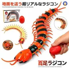 ★5％OFFクーポン配布中★ 百足 ラジコン 超リアル 虫 教育 理科[f9hc