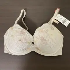 Item thumbnail for item 11157725-987c-430a-aa98-736e2498279f