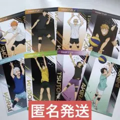 ハイキュー‼︎ アニメイト特典 ポストカード 擬似ユース 全8種