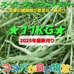 Item thumbnail for item 234f94e0-c776-43fd-932a-c5288d89c2a6