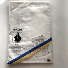 Item thumbnail for item 1c145710-8db4-453a-92f2-5d70c47c6f1e