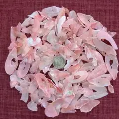 ベニ貝　サクラ貝　訳アリ　白化　40g 二枚貝　No.356