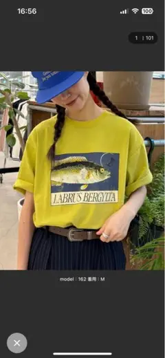 魚　Tシャツ Mサイズ