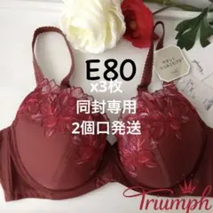トリンプ　ストーリー 優しく包み込むブラジャー　E80