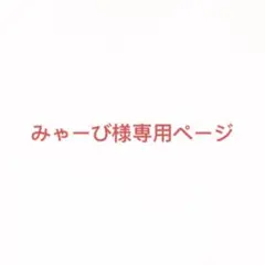 みゃーび様専用ページ