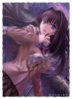 2025年最新】魔法使いの夜 スリーブ 蒼崎 青子の人気アイテム