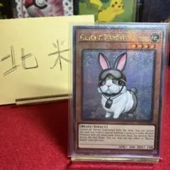 遊戯王　北米　レスキューラビット (クォーターセンチュリーシークレットレア)