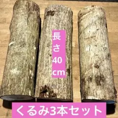くるみの木　丸太　ウォルナット　グリーンウッドワーク　素材　3本セット