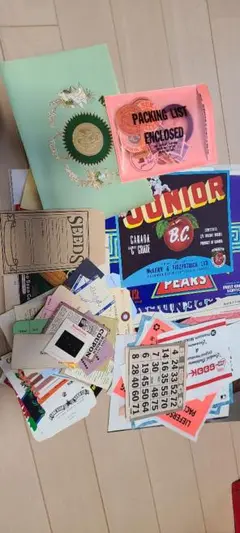 Item thumbnail for item 9cfa2c48-b823-4d19-9acd-c99b526b175a