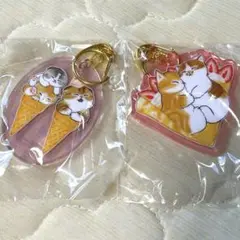 Item thumbnail for item c93ebbec-3c88-4a8d-b7ff-a9da74c6edaa