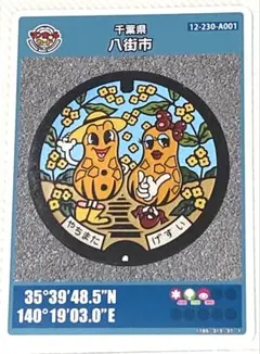 ⚫️マンホールカード 第26弾 千葉県 八街市 A001 ロット001 匿名配送