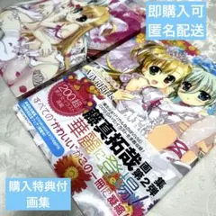 Item thumbnail for item 4d49733e-b337-47d6-916c-0166cae8f3e1