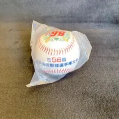 第86回　全国高校野球選手権大会　 横浜高校　記念ボール