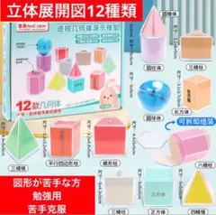 算数 立体展開模型 図形 苦手 親勉 小学校 中学校 受験12種類　セット