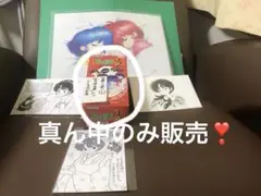 らんま1/2 トレーディングフィギュア 第2巻 「良牙変身」よりらんま対良牙❶