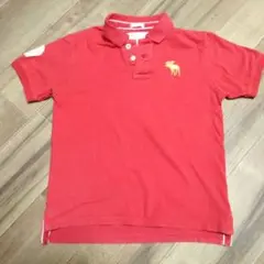 ✨Abercrombie & Fitch アバクロ　 メンズ ポロ XXL−12