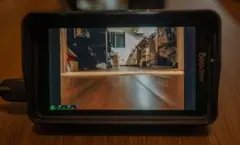 Item thumbnail for item f74ffb1c-10bb-425e-ac22-8162c3b2dde0