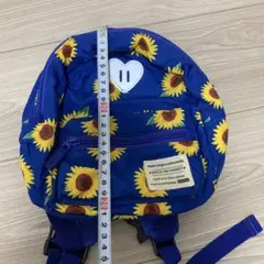 Item thumbnail for item 5fb8b571-0b86-4cf1-9325-18ba299c0b2a