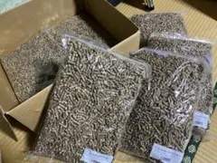 Item thumbnail for item 6a84c82c-fec1-4660-82ab-f9538f2228db