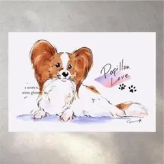 イラスト 原画 ポストカード 絵 【パピヨン】174