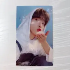 SEVENTEEN ドギョム DREAM ユニバ 特典