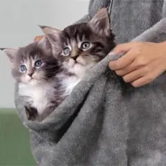 ペット もふもふ 抱っこ カンガルー エプロン ポケット 犬 猫 フェイクファー
