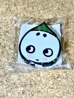 こいまろ　メジャー