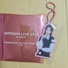 SMTOWN LIVE 2025 ランダムミニアクキー A ver.　カルメン