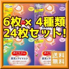 新めぐりズム 蒸気でホットアイマスク 4種類×6枚 24枚セット