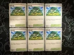 ポケモンカード　活力の森　6枚セット