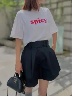 新品★OBLI spicy Tシャツ オブリ