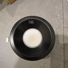 大光電機 LEDダウンライト DDL-6107YB