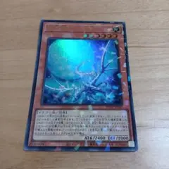 遊戯王　眩月龍セレグレア