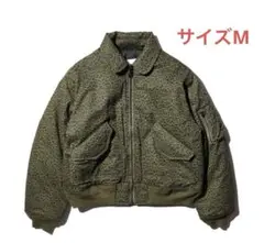 Item thumbnail for item 421ddc12-089c-4b29-a408-a723359853f5