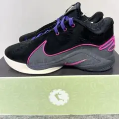 新品 NIKE レブロン 22 トンネルビジョン バスケットシューズ 26