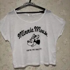 ディズニーミニ　レディースＴシャツ　Ｌサイズ