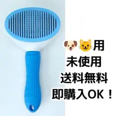 Item thumbnail for item 32cc9451-a819-427c-b48b-3a1afef4c8a2