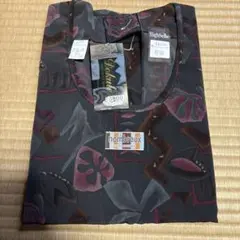 Item thumbnail for item 8bb5798c-c805-44cc-bedd-161ecfda1699