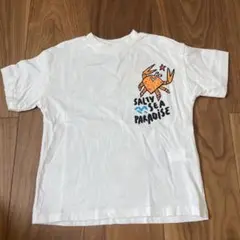ZARAキッズ　Tシャツ