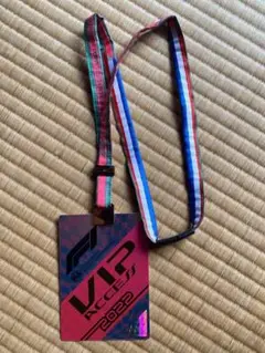 f1 2022 オランダGP VIPパス