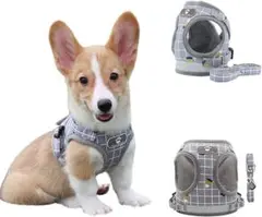 犬 ハーネス リードセット 散歩 小型犬 ペット (グレー, XS)
