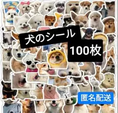 犬、ねこのシールなど　おまとめ　100枚×5セット