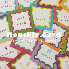 【New】ビビッド｜マンスリーカード カラフル 派手 うねうね 月齢カード