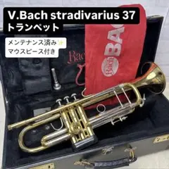 Bach　Stradivarius　180ML 37 カスタム　ノーラッカー BachStradivarius180ML 37 カスタムノーラッカー