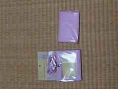 Item thumbnail for item 497db287-d207-4775-bbf8-b8381c766c53