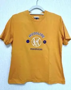 アディダス　Tシャツ　レディースLサイズ　万国旗タグ