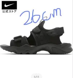 Item thumbnail for item 27026378-12a9-449b-923d-0f76b4e28c53