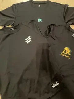 Item thumbnail for item 8a121860-b3cf-49e7-9517-61012f6e0131