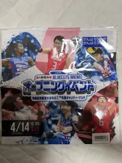 祝オリンピック出場！バレーボール女子日本代表×PFUブルーキャッツ　ハンカチ