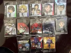 美品！！新世紀エヴァンゲリオンシールウエハース補完計画13枚まとめ売り！